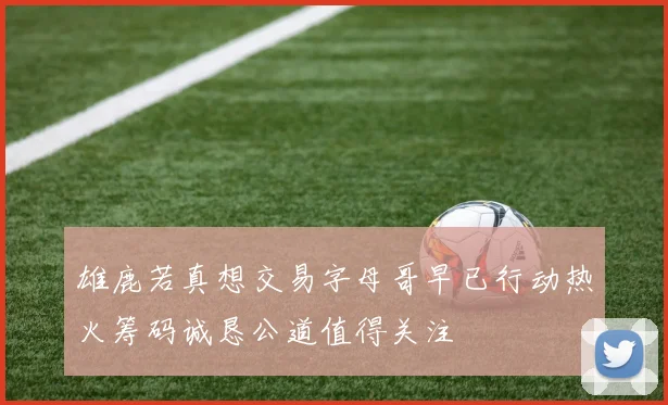 雄鹿若真想交易字母哥早已行动热火筹码诚恳公道值得关注