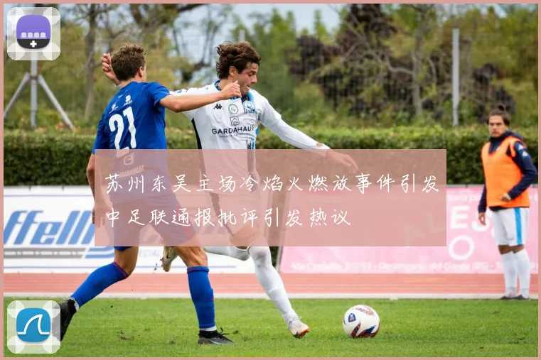 苏州东吴主场冷焰火燃放事件引发中足联通报批评引发热议