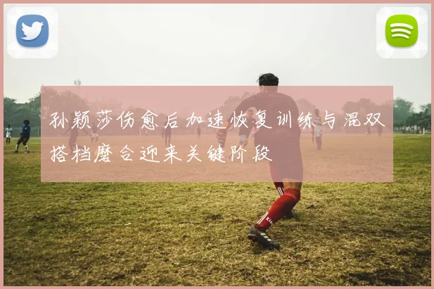 孙颖莎伤愈后加速恢复训练与混双搭档磨合迎来关键阶段